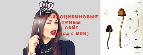 гашиш Абаза